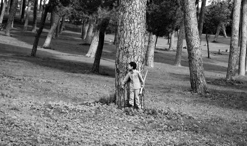 Trees on grassy field