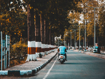 Rear view of man riding bicycle on road