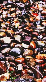 Full frame shot of cake