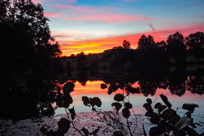 Silhouette trees by lake against sky during sunset