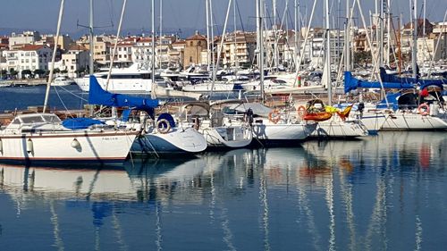 Sailboats moored in harbor