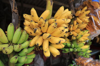 Bananas on traditional market