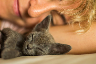 Close-up of a cat