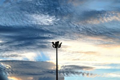 Low angle view of silhouette plant against sky