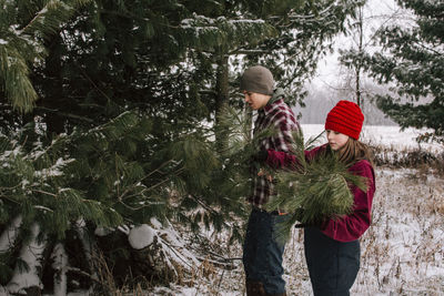 Boy and girl cutting pine boughs for christmas 
