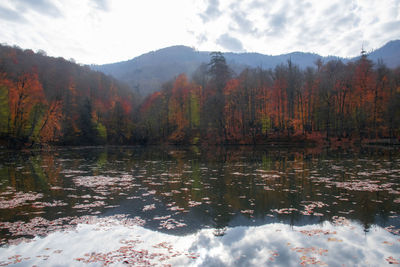 Scenic view of lake by trees against sky