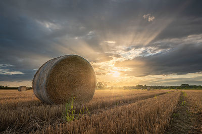 Sunset over a harvested cornfield with straw bales