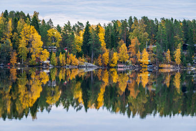 Scenic view of lake by trees during autumn