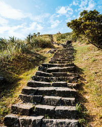 Staircase amidst plants against sky