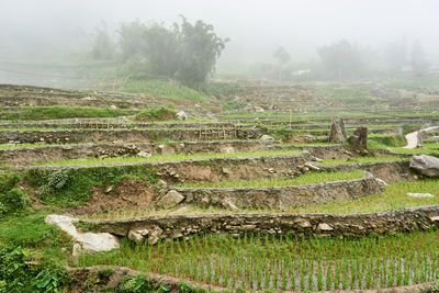 Scenic view of foggy weather