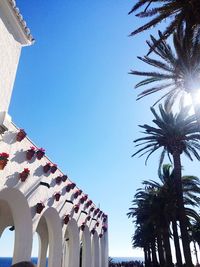 Low angle view of palm trees against clear blue sky