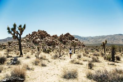 Scenic view of landscape against clear blue sky