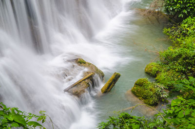 Scenic view of waterfall in forest