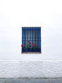 Low angle view of window on white wall