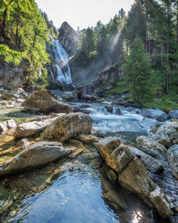 Scenic view of waterfall in forest