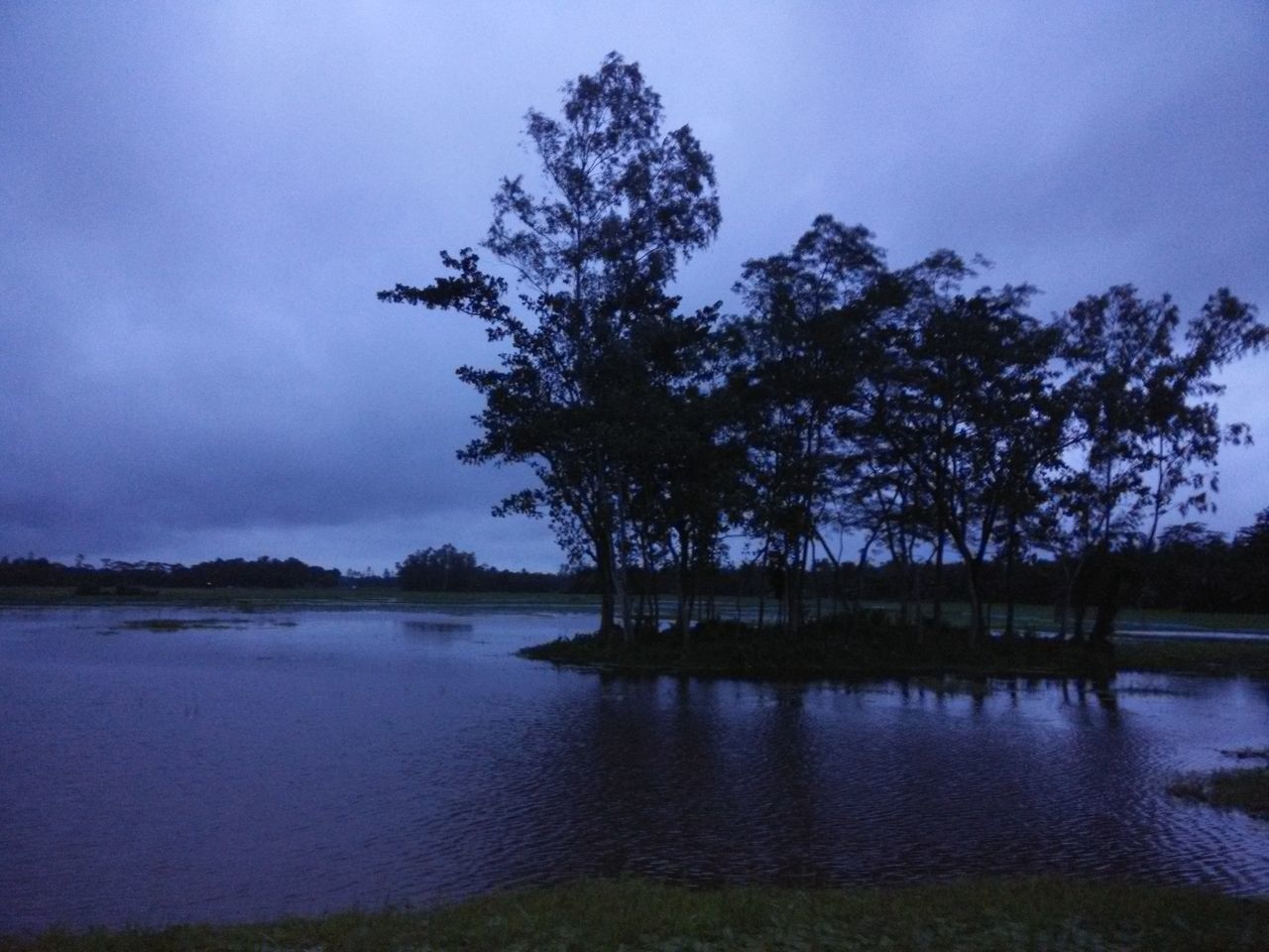 tree, water, lake, tranquil scene, tranquility, scenics, silhouette, beauty in nature, blue, calm, sky, lakeshore, nature, reflection, growth, waterfront, lakeside, cloud, standing water, no people, cloud - sky, non-urban scene, majestic, remote, solitude, countryside