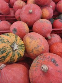 Full frame shot of pumpkins at market stall