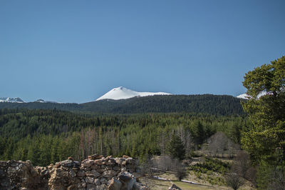 Scenic view of landscape against clear sky