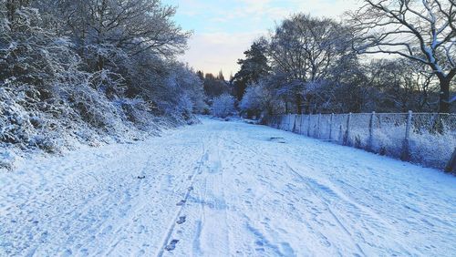 Tire tracks on snow covered landscape