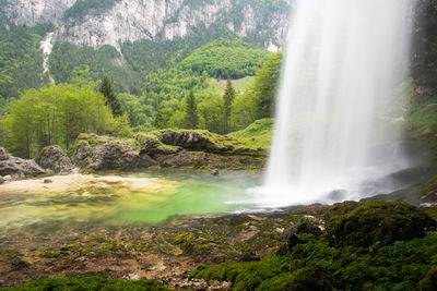 View of waterfall in forest