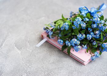 High angle view of flowering plant on table