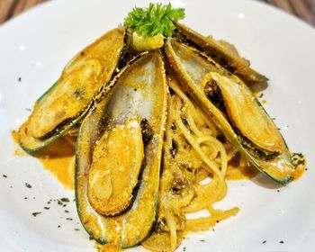 Close-up of meal served in plate