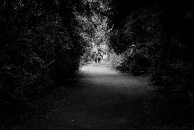 People walking on road amidst trees in forest