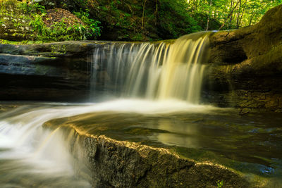 View of waterfall in forest