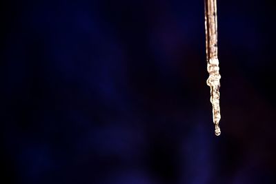 Close-up of icicles hanging on snow