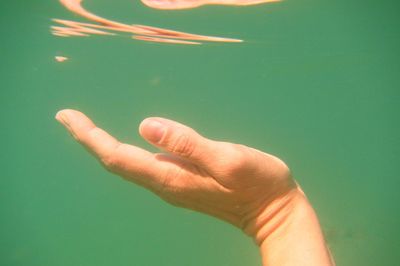 Close-up of person hand against gray background