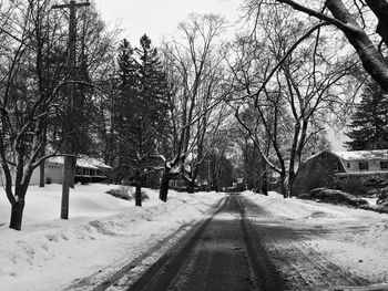 Snow covered road amidst trees against sky