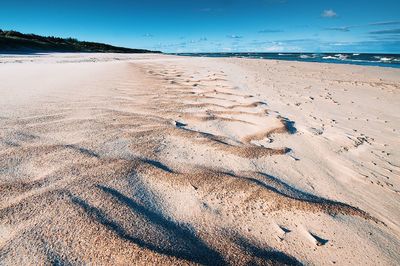 Shadow of a dog on sand at beach