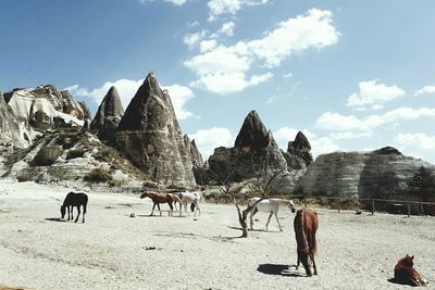 Horses on field by rock formations against sky