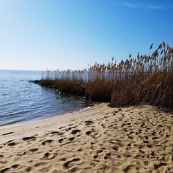 Scenic view of beach against clear blue sky