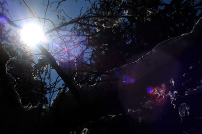 Low angle view of trees against sky