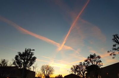 Low angle view of silhouette trees against sky