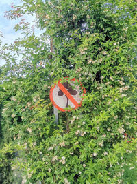 Information sign on tree