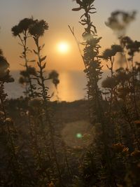 Scenic view of sunset