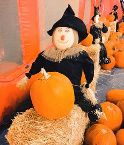 Close-up of pumpkin pumpkins