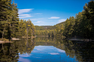 Scenic view of lake by trees against sky