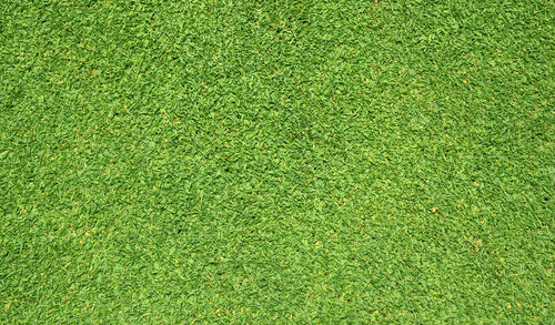 High angle view of soccer field