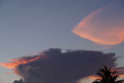 Low angle view of silhouette trees against sky during sunset