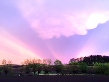 Scenic view of grassy field against sky at sunset