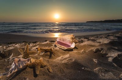 Scenic view of beach against sky during sunset