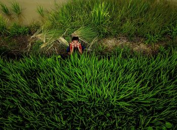 High angle view of man standing on field