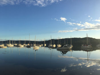 Sailboats moored at harbor