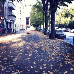 View of city street