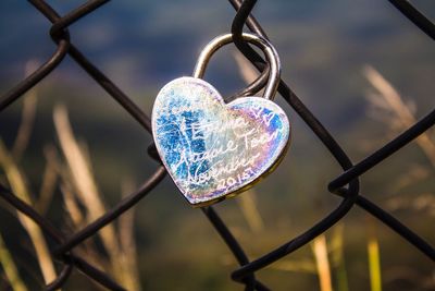 Close-up of chainlink fence