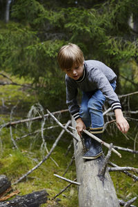 Boy standing by fence against trees