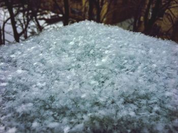 Close-up of frozen water